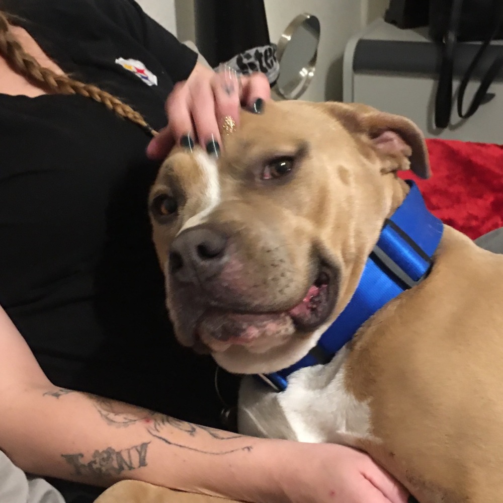 Meet your Posher, Matthew